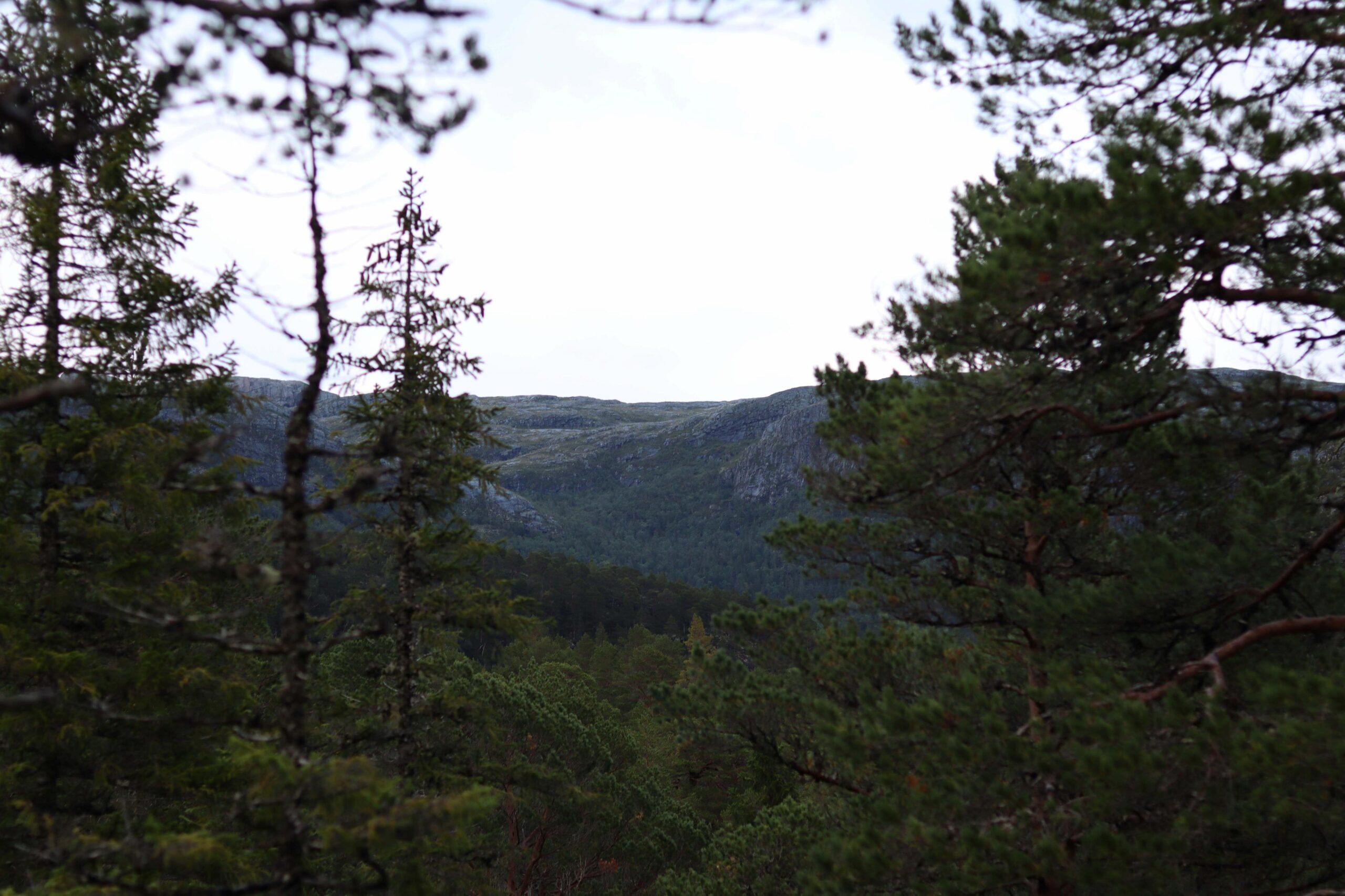 Ikke mange gr&oslash;nnsakshager har en slik utsikt. 