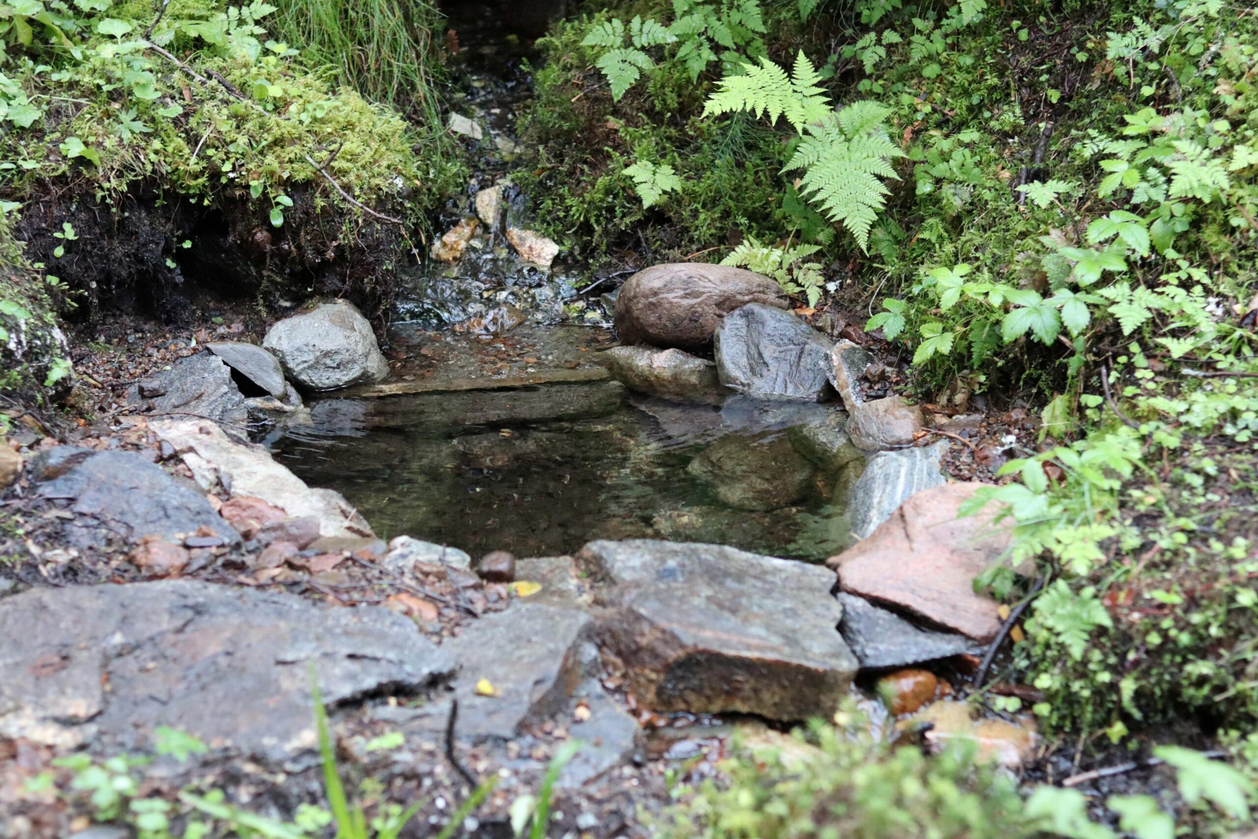 Paret har lagd en egen drikkekilde som alltid har kaldt, rent vann. De vurderer &aring; plante mint s&aring; det blir ferdig mojito!