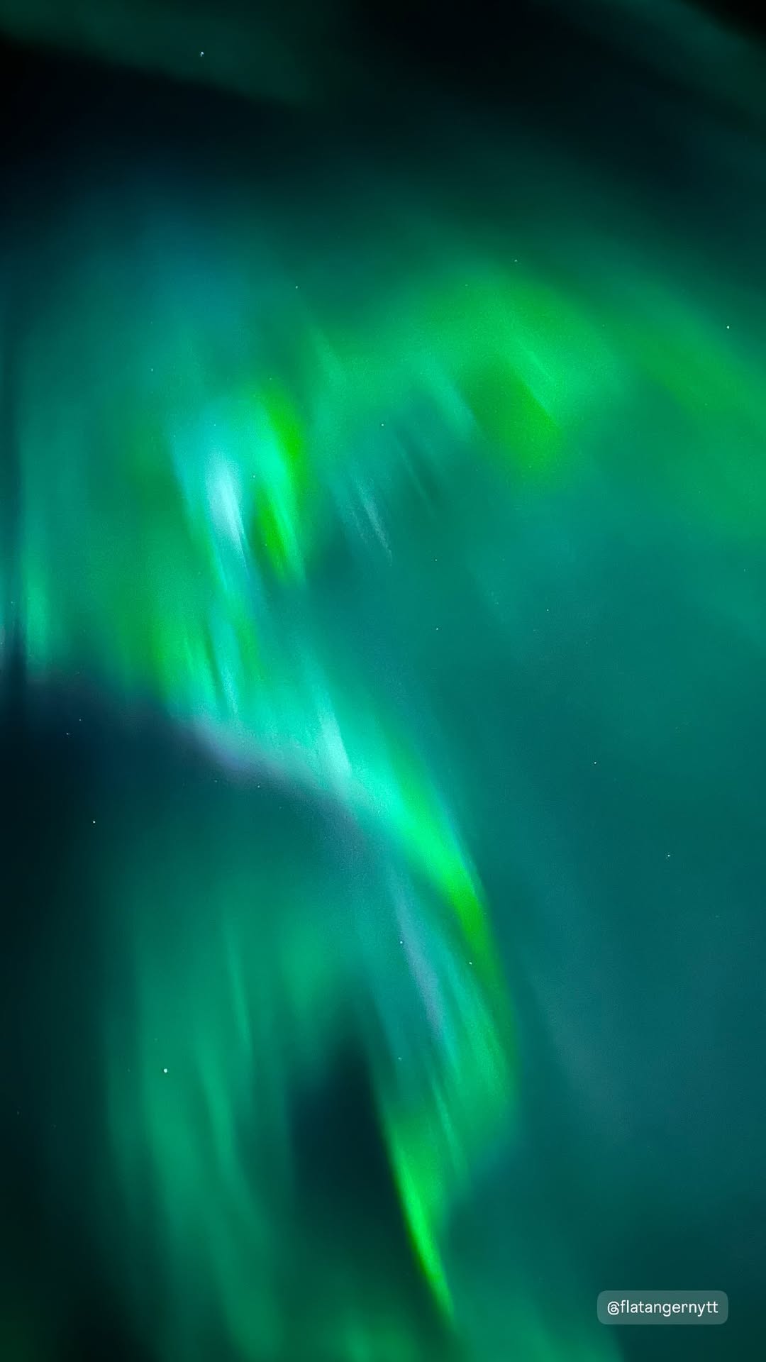 Dette flotte nordlysbildet er tatt av en Flatangernytt-leser. (Foto: Trude Nordengen-Røli)