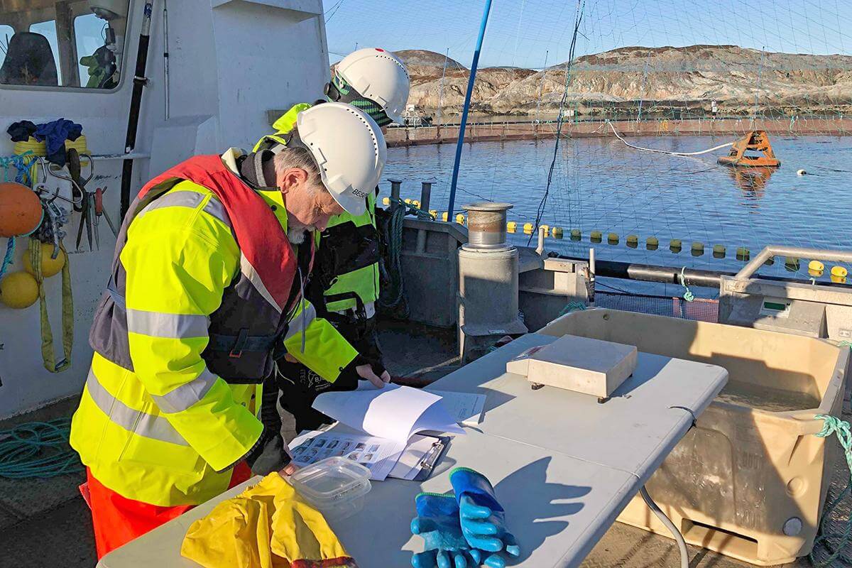 Oppdrettskonsulent og senere marin konsulent Per Andersen hadde et nært og tett samarbeid med Per Anton Løfsnæs siden 1986. (Foto: Privat)