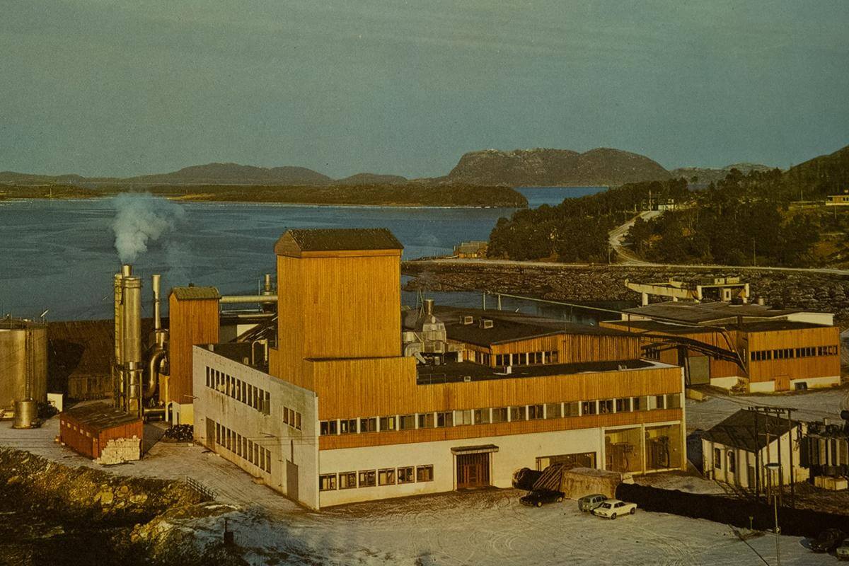 Namdalens Tresliperi på Lauvsnesøra var en hjørnesteinsbedrift i Flatanger i omtrent 70 år.