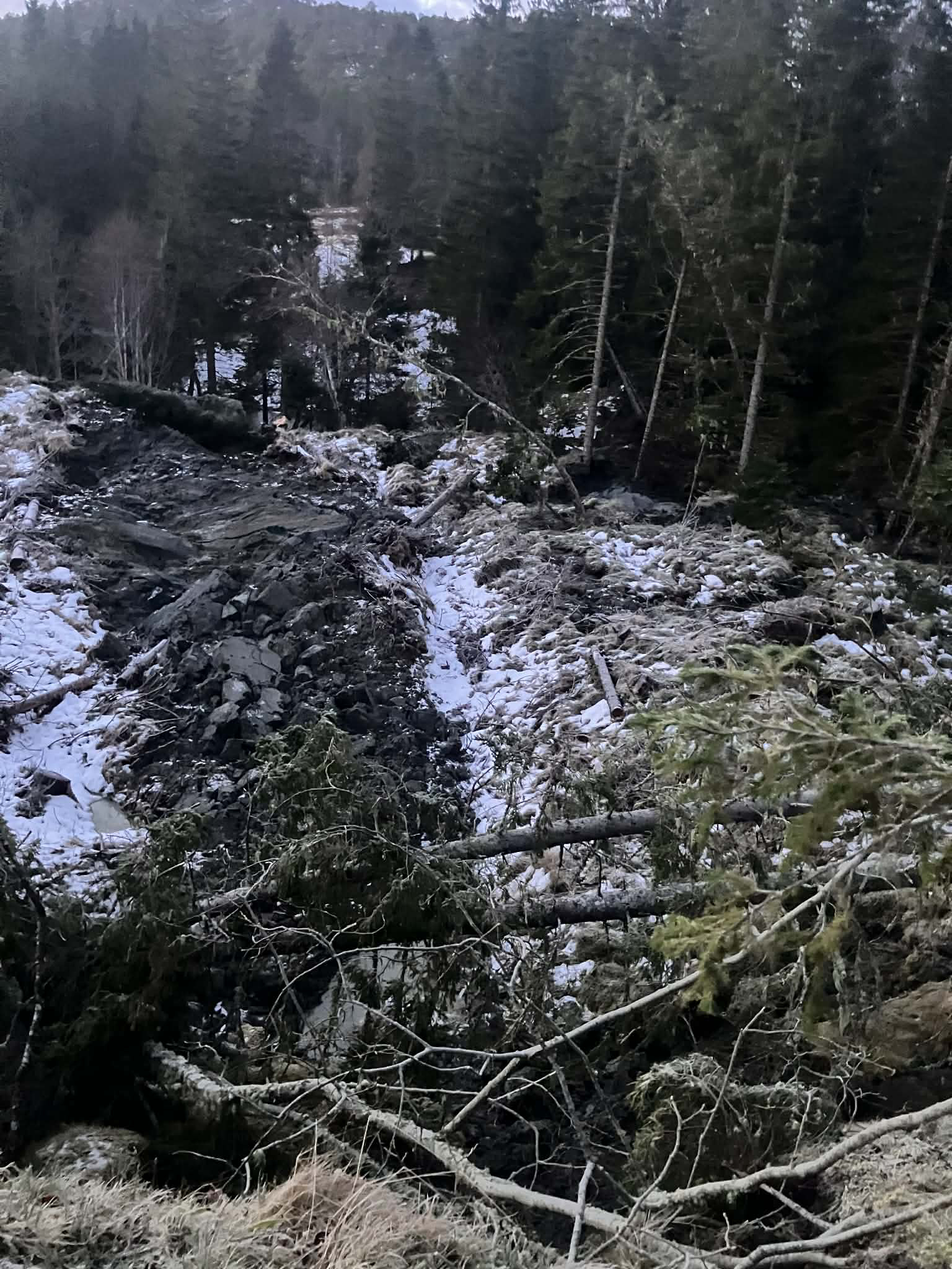 Parti fra Steinbekk der skredet har gått. (Foto: Svein Hågensen, Namsos brann og redning)