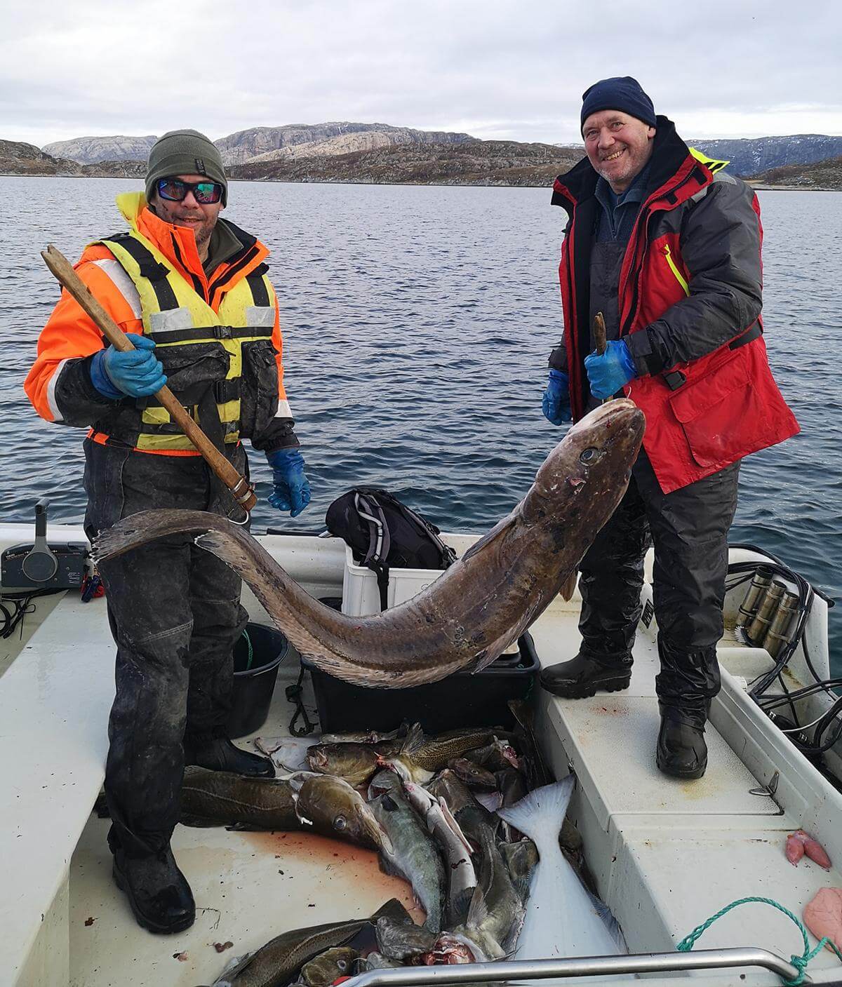 Petter Haukø (til venstre) og Raymond Johansen med søndagens storfangst, som blir hovedingrediens i fiskegrateng hos Haukø i Trondheim (Foto: Privat).