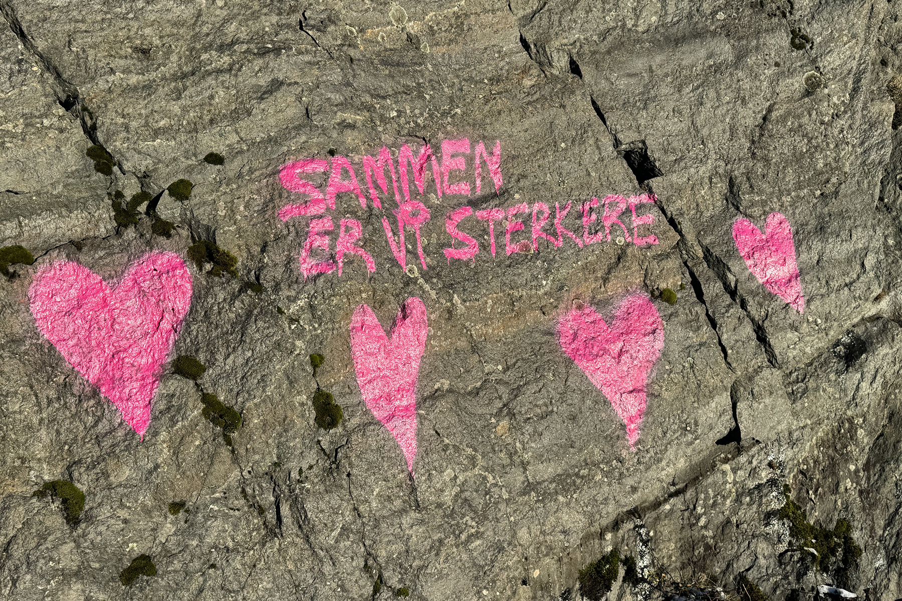 Overalt i Flatanger er Rosa sløyfe-aksjonen markert, som her på veien til Løvøya. (Foto: William Storø Høstland)