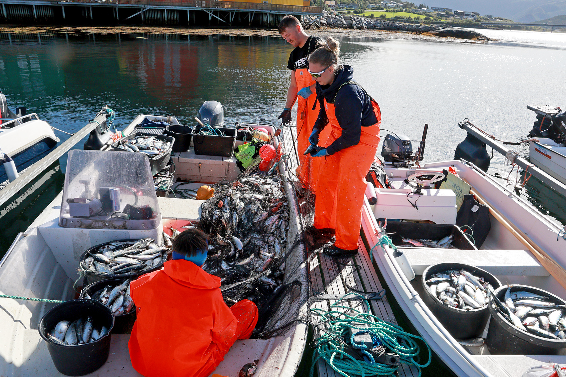 Litt handarbeid gjenstår før all silda er ut av garna. Christian Johansen, Oda Sofie Blengsli og Ingrid Østvik er i full sving, og tar gjerne imot hjelp.