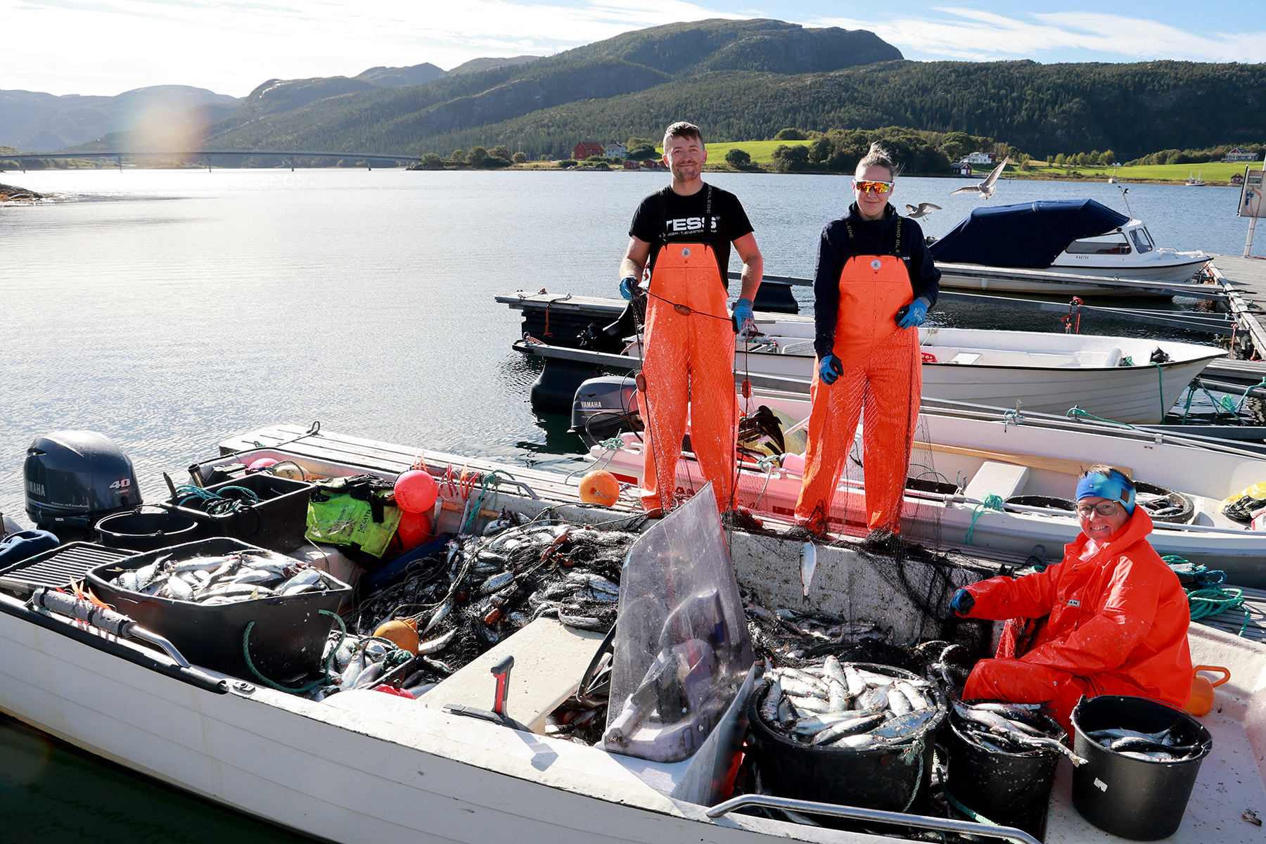 Kortreist sild! Garna sto innom Stamnesbrua, og fisken ble landet på flytebrygga nedenfor Zanzibar. Oda Sofie Blengsli og Ingrid Østvik måtte komme Christian Johansen til unnsetning for å berge fangsten.
