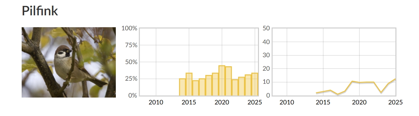S&oslash;ylediagrammene viser hvor mange f&ocirc;ringsplasser pilfink er registrert i Flatanger i % av totalt antall foringsplasser som har rapportert. Linjediagrammet viser gjennomsnittlig antall individ.