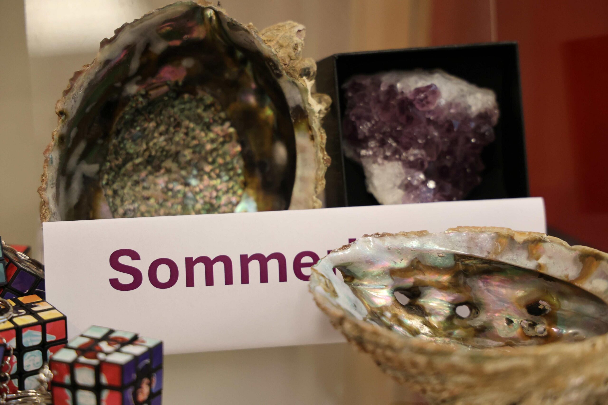 Konkurransens hovedpremie er disse flotte abaloneskjellene. 