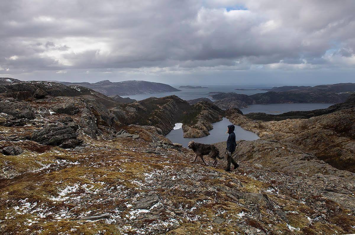Parti fra Sørmarkfjellet, tatt før anleggsarbeidet startet. (Arkivfoto: Alette Sandvik)