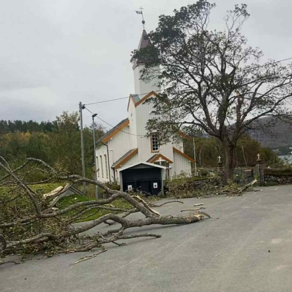 Store greiner har bl&aring;st ned ved L&oslash;v&oslash;y kirke. (Foto: Guri Dahle Olsen)