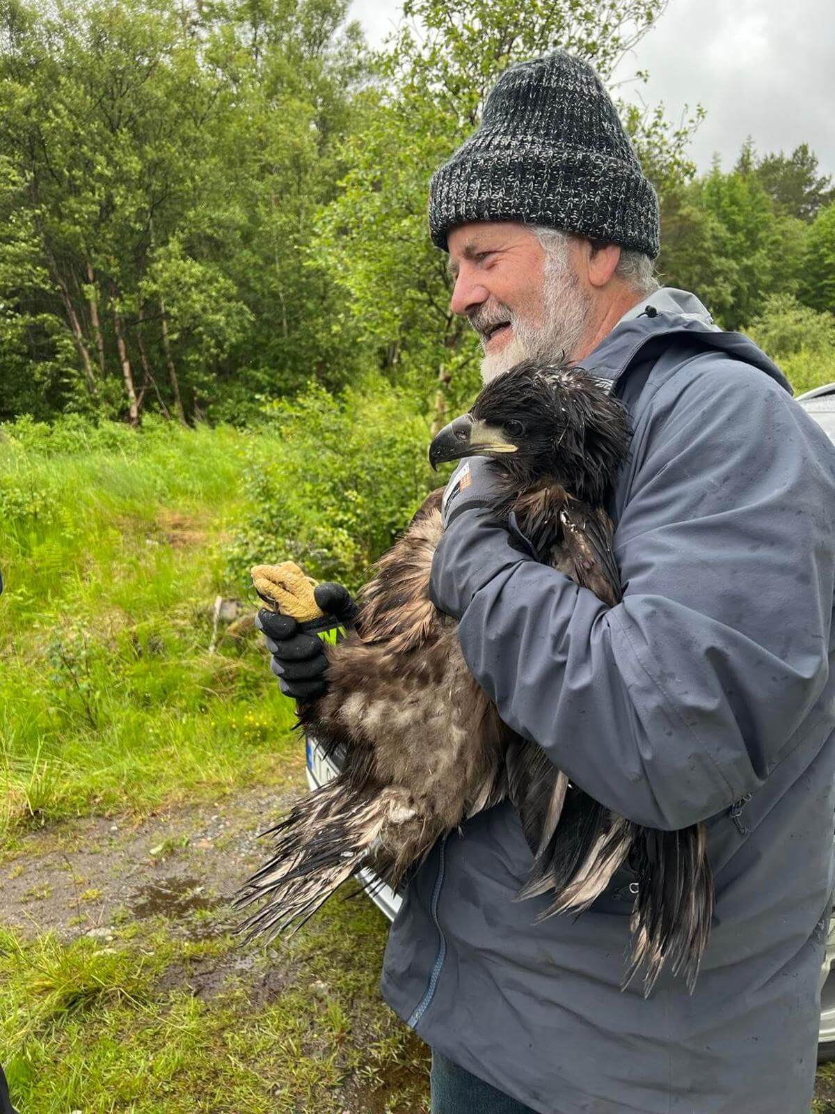 Torgeir Nyg&aring;rd med en av &oslash;rneungene som ble hentet fra et reir i Flatanger torsdag. (Foto: Fredrik Staven)