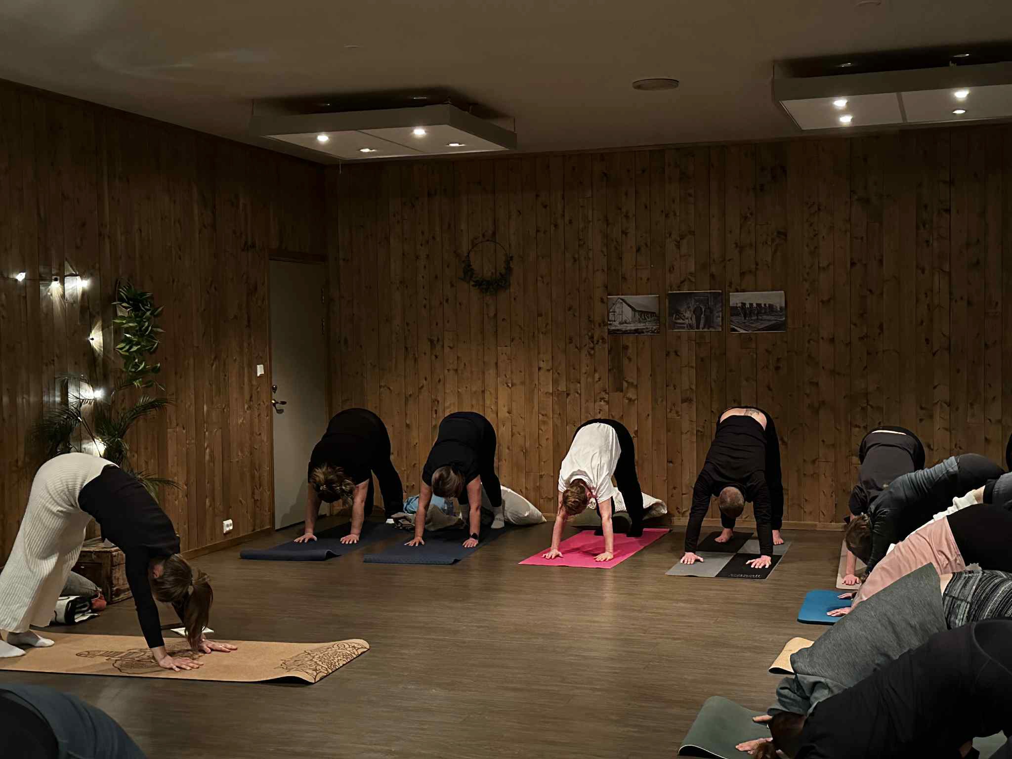 Her leder Helene deltakerne gjennom øvelsen "Hund som ser ned".