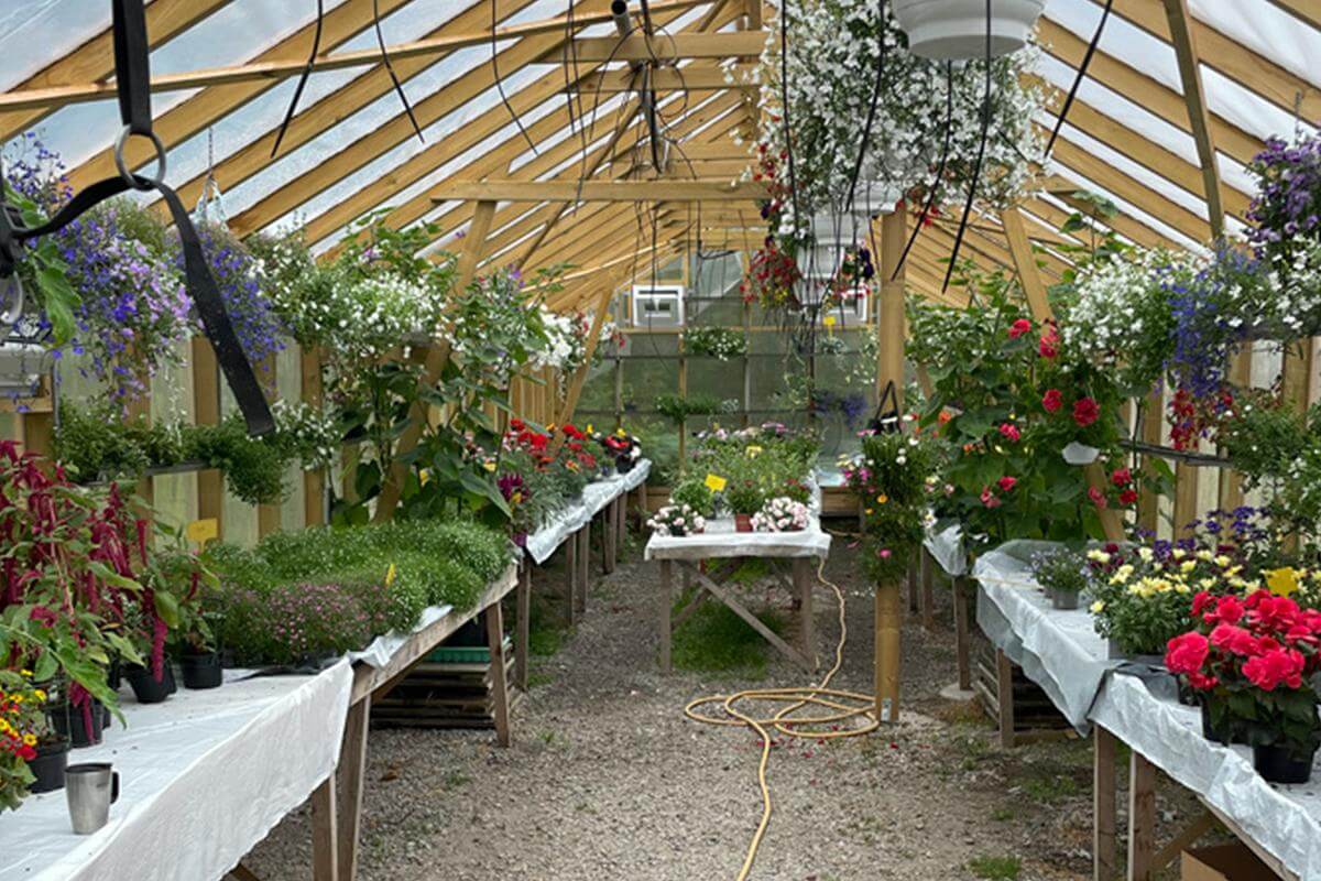 Grete N. Lein mener det er viktig å ha litt variasjon på om plantene er dyrket, bestilt eller om det er plugger.(Foto: Kathinca Andersen Hilstad)